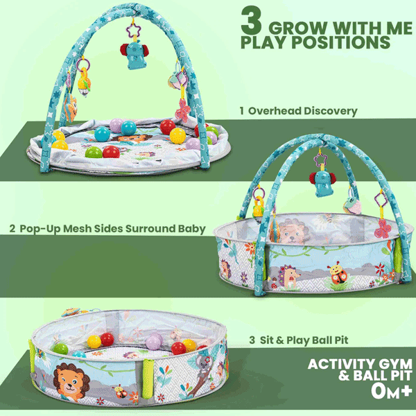 3 IN 1 BABY PLAY GYM & PLAY AREA WITH MUSICAL RATTLE & BALLS